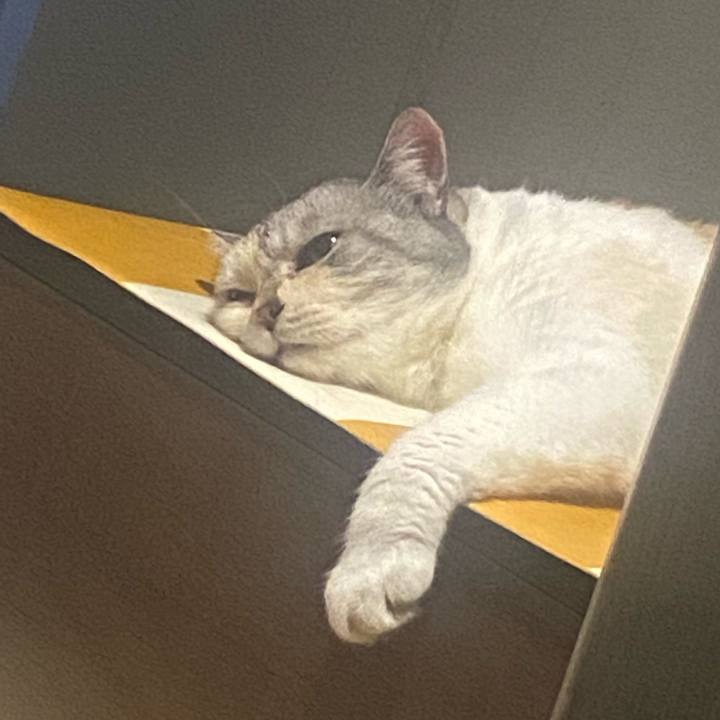 1ef019b9 04c2 44cc 99ec c3e0f2d96522 1694868819848