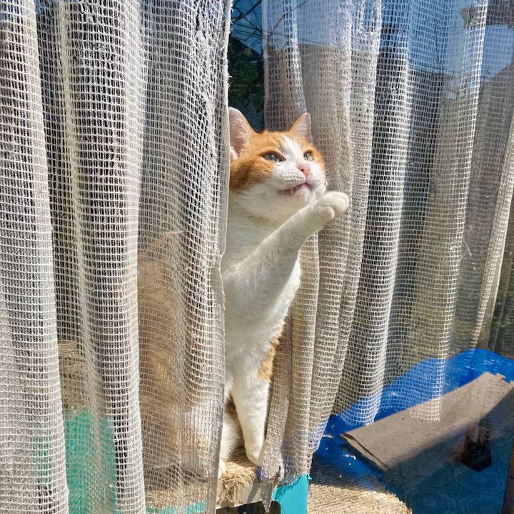 1ef0324d 220f 4d02 983d cf702a129ce1 1649391425695