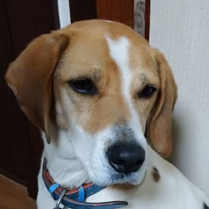 1ef03273 da4a 4dfa bcd9 f492705f3984 1614511095509