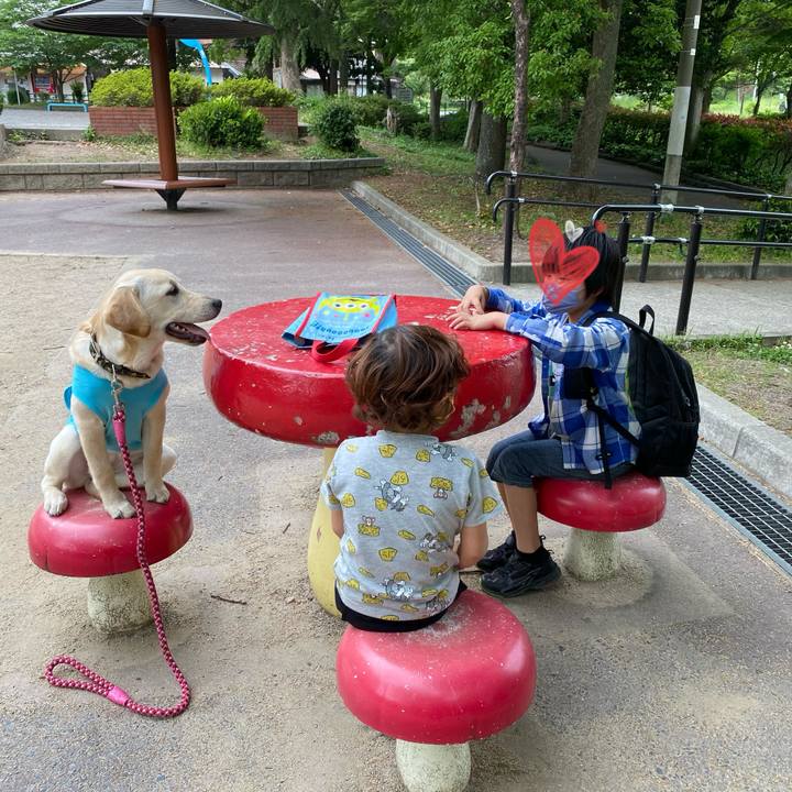 1ef08419 f504 4813 b9e1 ddb81c085a7b 1620720156263