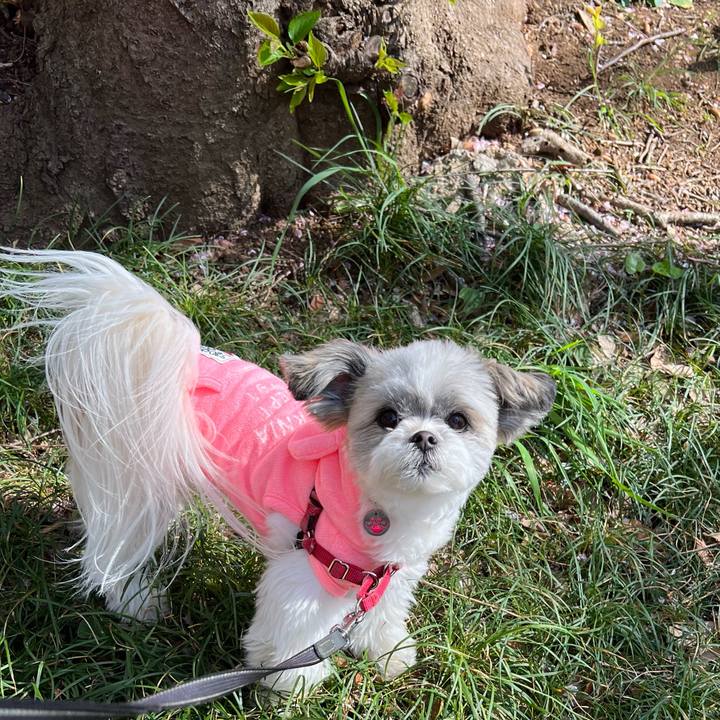 1ef0abd8 c5d8 47cd ad3f fd2812712e70 1649496391555