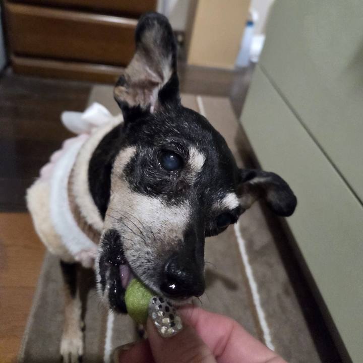 1ef0b824 b998 4be6 8425 eb4ddbd64082 1766519412619