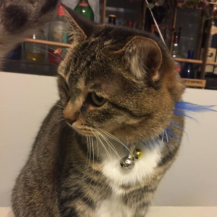 1ef0c170 5a0b 4713 881b fc76c3b179fc 1549638948143