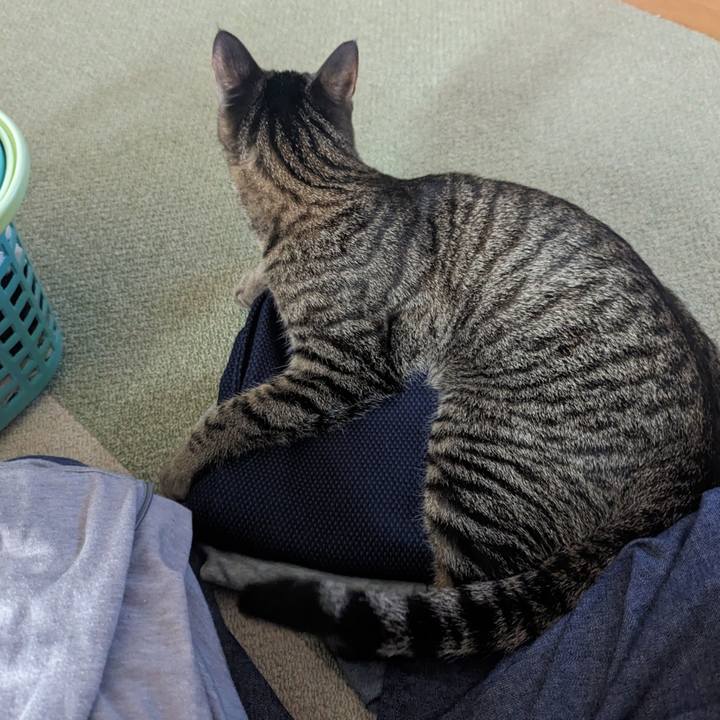 1ef0e831 5c63 471d 962e 690b51937bb5 1715425129191