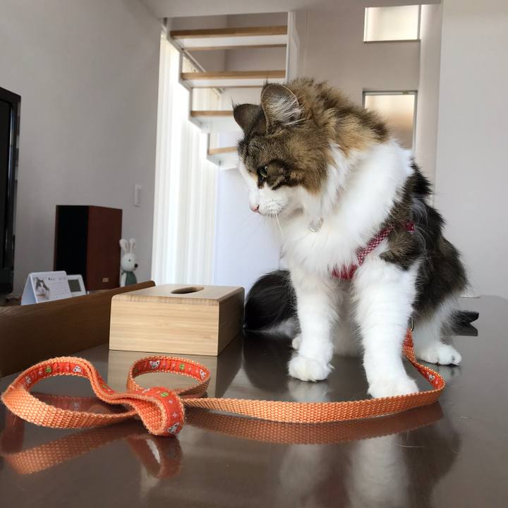 1ef11b67 fc9a 4979 a68e b3ad77c18a58 1524371105990