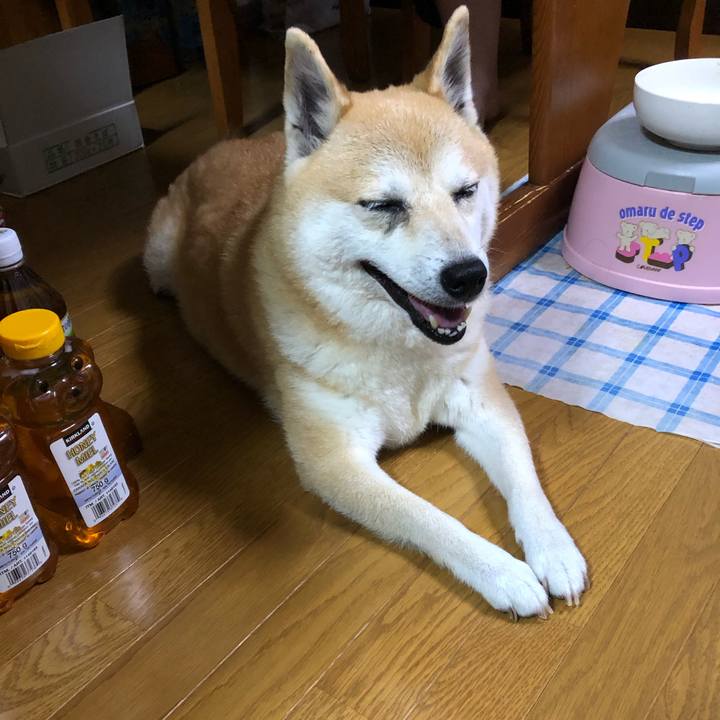 1ef11e71 5607 47b7 94e6 534f331d8650 1594387066451