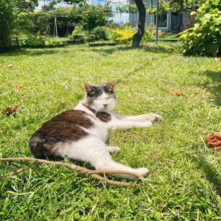 1ef12744 4531 4c61 926c c0574309f2a8 1622541072140