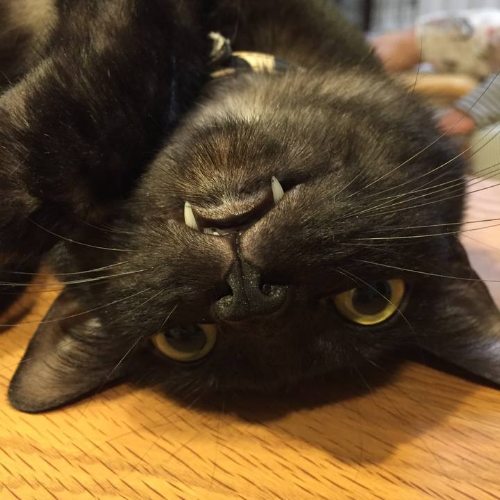 1ef148ef 0ac0 486c 8f97 364a33b1adc9 1536200635786