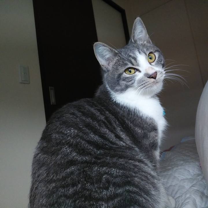 1ef16661 d544 4e88 aa99 a40a73d6014c 1574463043759