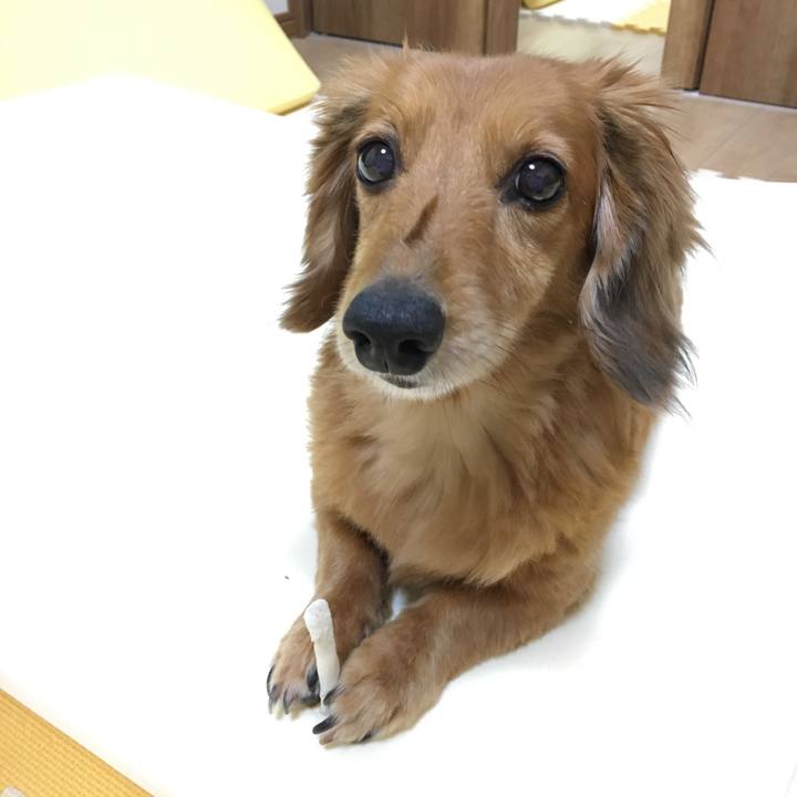 1ef181f1 a167 4f87 804c 8a77cada0be1 1528380430976