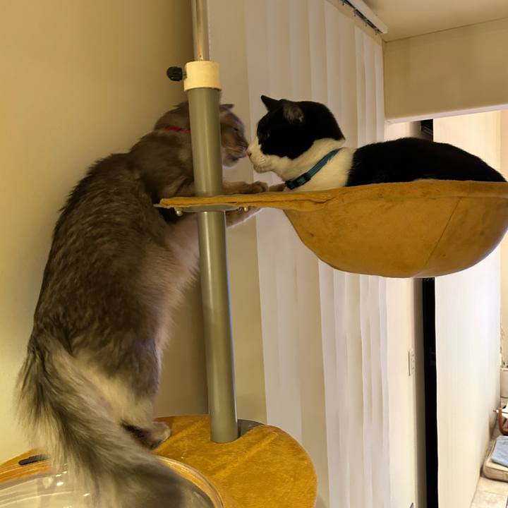 1ef1880d b5f2 4e06 8432 017e784fefb4 1766318133203