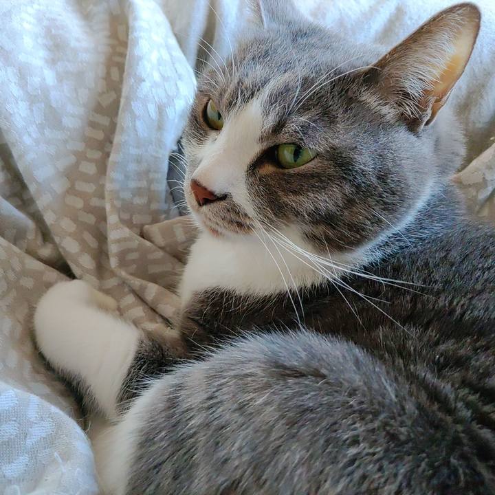 1ef2210e 2ed8 40de b061 8324f5ede130 1709453327214