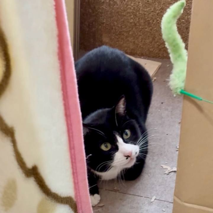 1ef276fa 8898 44c0 a470 374ea775cefd 1770387180972