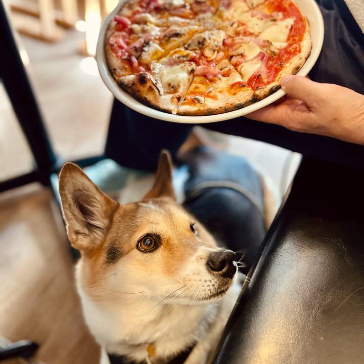 1ef2b62b 41a2 40b6 9688 5886c6a0396a 1768707760884