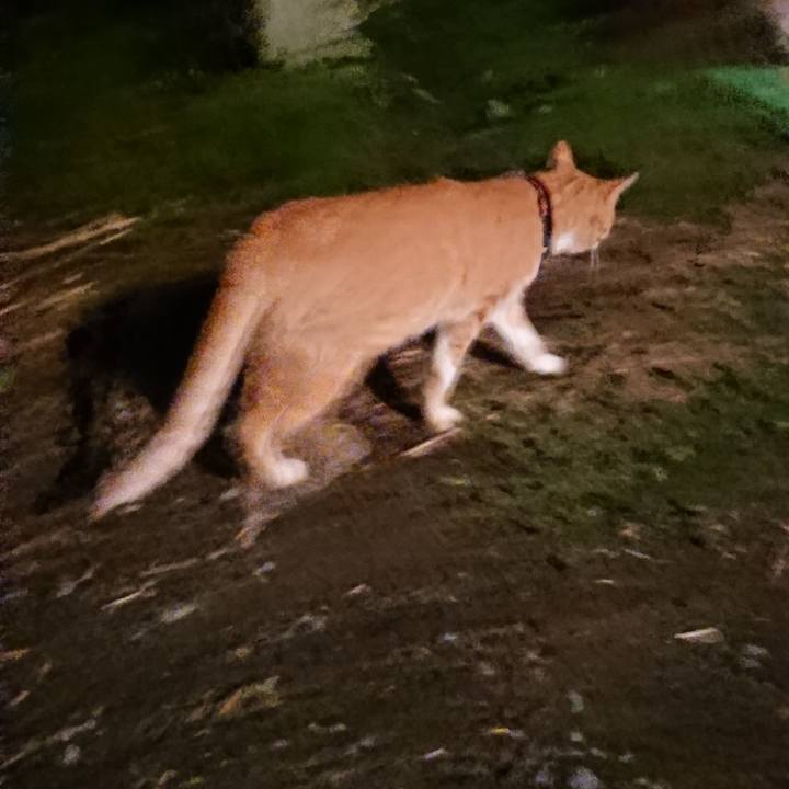 1ef2c1b0 af8d 4bf0 aeaf cd1c347f1ec4 1563538447389