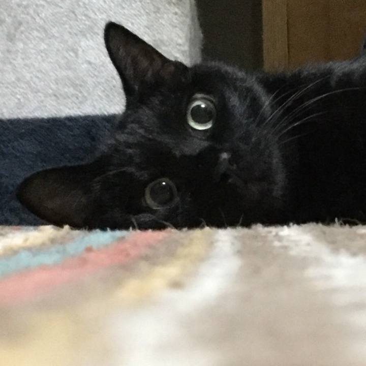 1ef2e85e fd8f 45fe a74e 2ef146bc156e 1563761429583