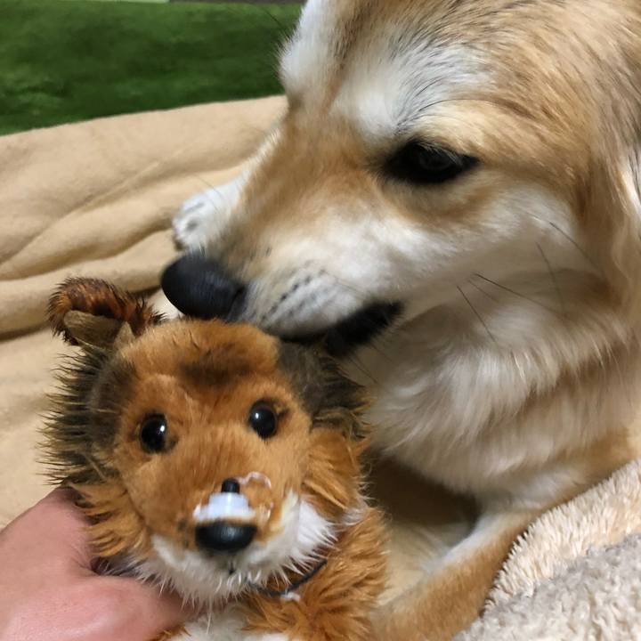 1ef312f6 c05c 4404 a269 726ccd306986 1518689723140