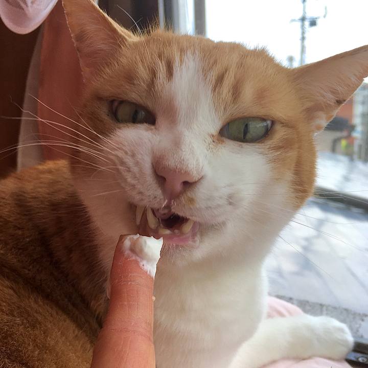 1ef321c9 71be 42ba 8d3d 1199615cbb7e 1584948007337