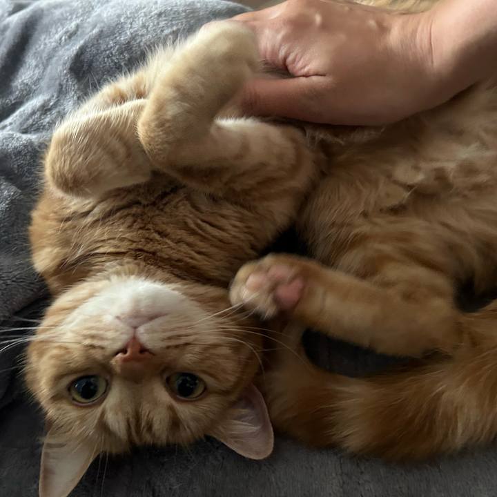 1ef33804 8b5d 4883 8401 b0b843ecc6f3 1679796692179