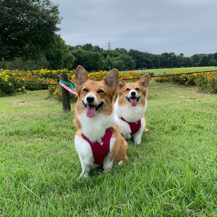 1ef33bb4 72d5 40ea 8699 4f030e034869 1663233127263