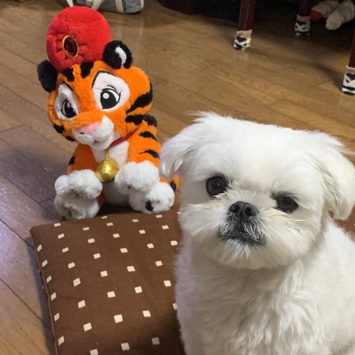 1ef34406 b6ea 4d8e bcac 2a717ef12452 1643550658239