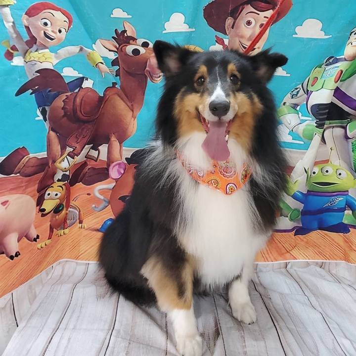 1ef3568c a51e 4ad1 bc31 5c1b15012193 1647944418920