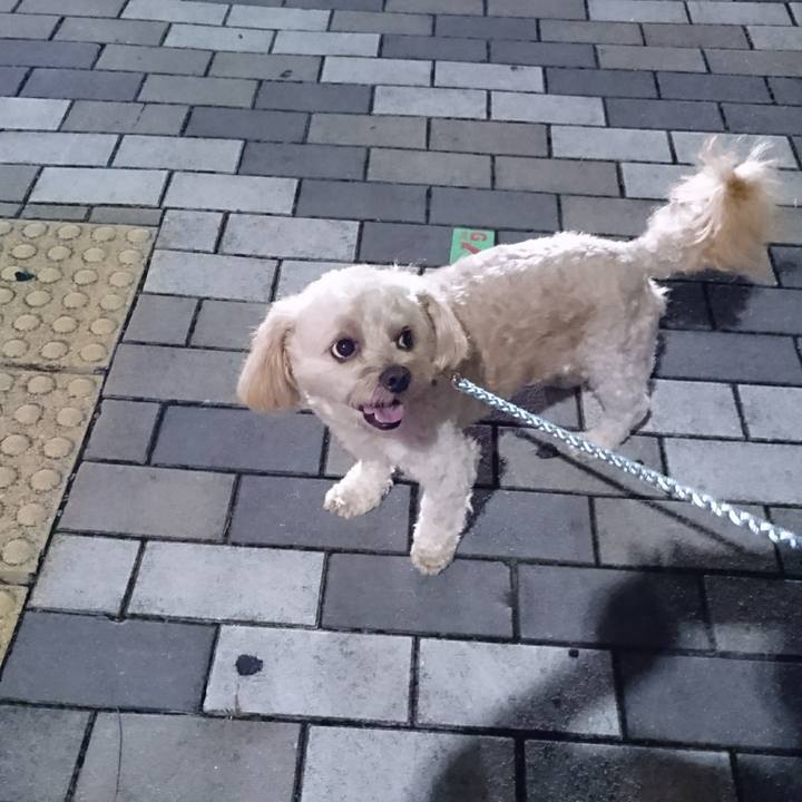 1ef362b7 9acf 4a1d 9a5e 55fcaeae479b 1537094770322