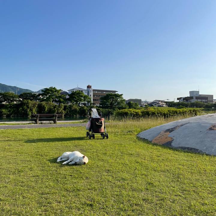 1ef3693f 98e4 4ef6 94f9 7fc4e36014ac 1654259504215