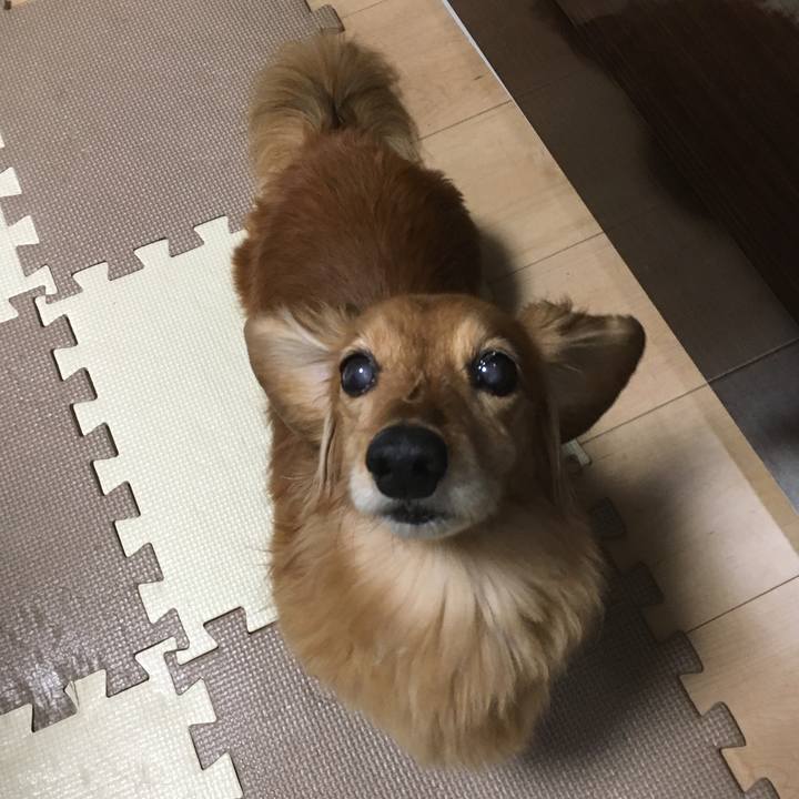 1ef3715a 96db 4cd2 98ad 228ca853da05 1615472024144