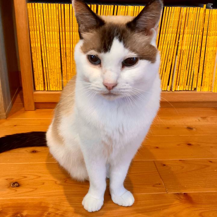 1ef3a5f4 2567 4062 8a52 295a9cec2822 1667035334513