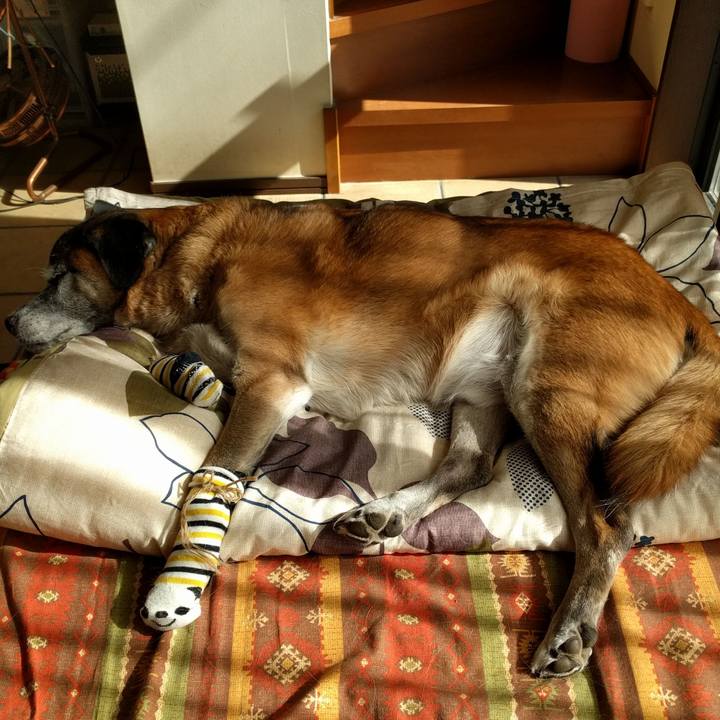 1ef3b6cd 4d7a 4b5f 99aa 6d1a26eed625 1542336984548