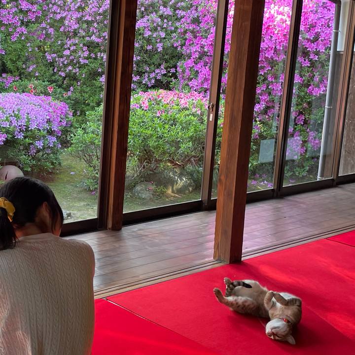 1ef3cb1e d4ad 4446 937b ac24d70dac5a 1745743544699