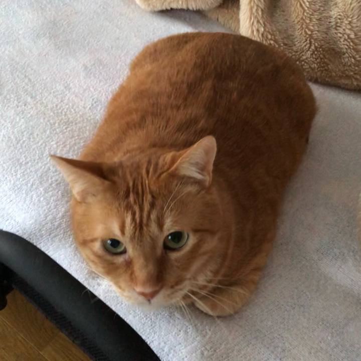 1ef3d15c 4d76 4a1b b82c 4fdcdc3a5a36 1612778879376