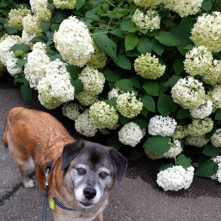 1ef3fe32 70cf 4421 8123 3e7759d5d2c3 1529577205923