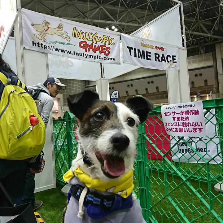 1ef4202d 5549 4fcb 9eec 8a03b79220e7 1522553574376