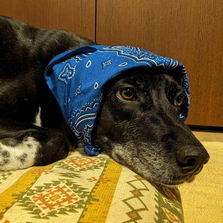 1ef421e0 ec91 4038 811e 4041d6341739 1688398951773