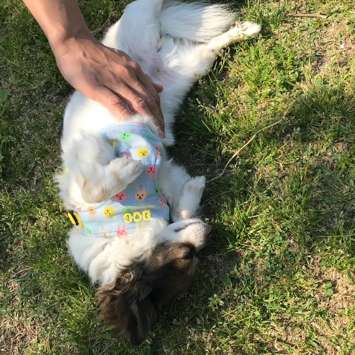 1ef4301c a5db 4aef a253 7de7a1f719db 1524374584108