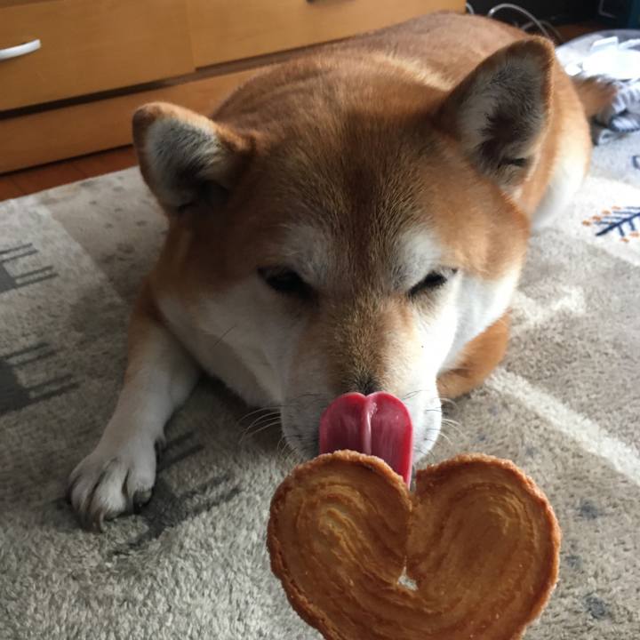 1ef43525 22dc 4dd5 a2e9 00b32d8346b5 1642212730624