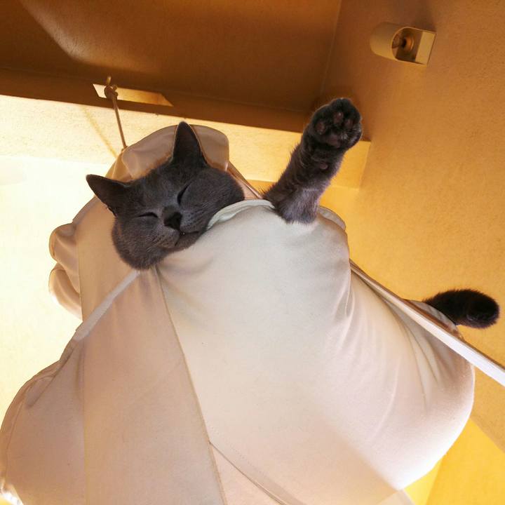 1ef46978 ddae 45c3 8213 fc15b0c34fbb 1513656195655