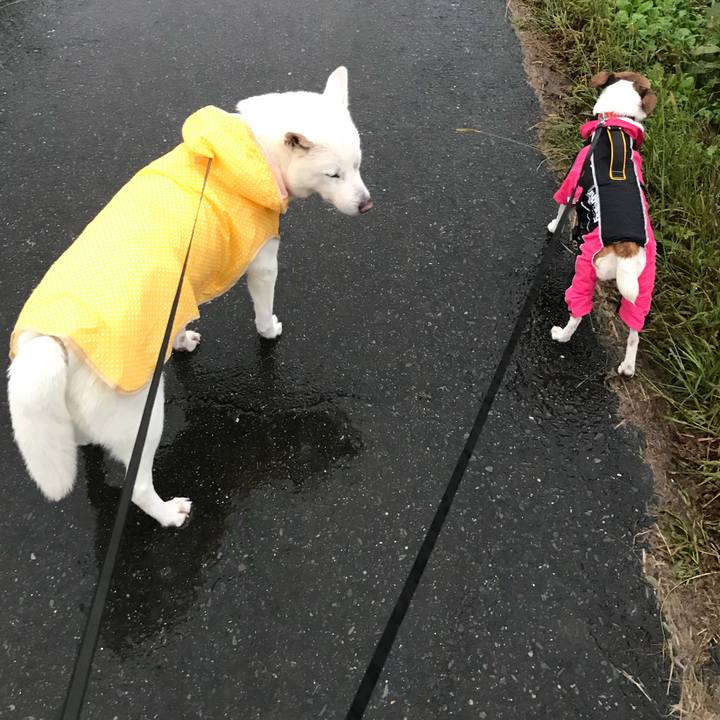 1ef4805d cd2f 4f35 af57 b88a5e9db2fc 1508663411633