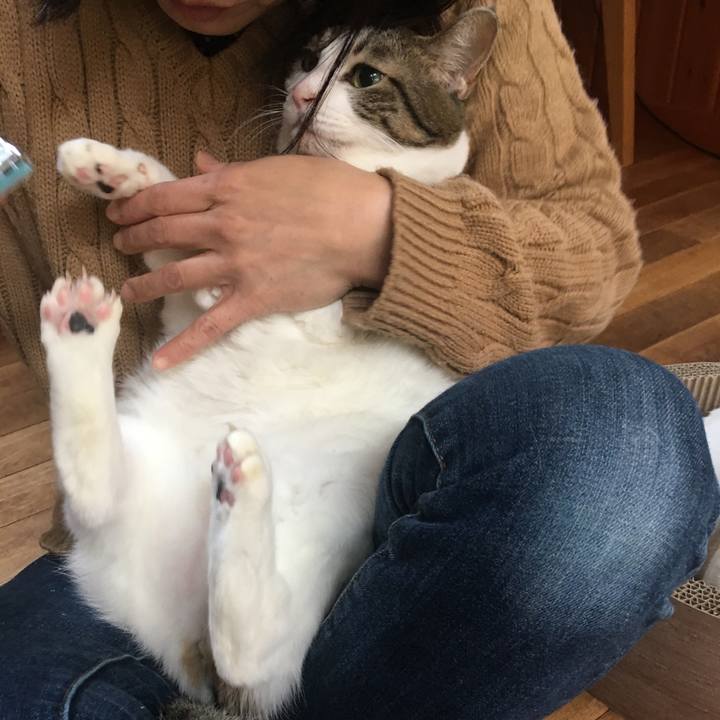 1ef49f40 0e55 490f 984e fc55c0cc31cc 1515570072596