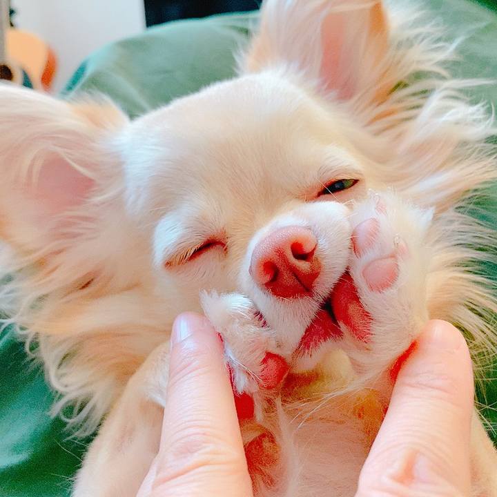 1ef508d2 cd4f 4af3 ae42 b0825afebab9 1623470310976