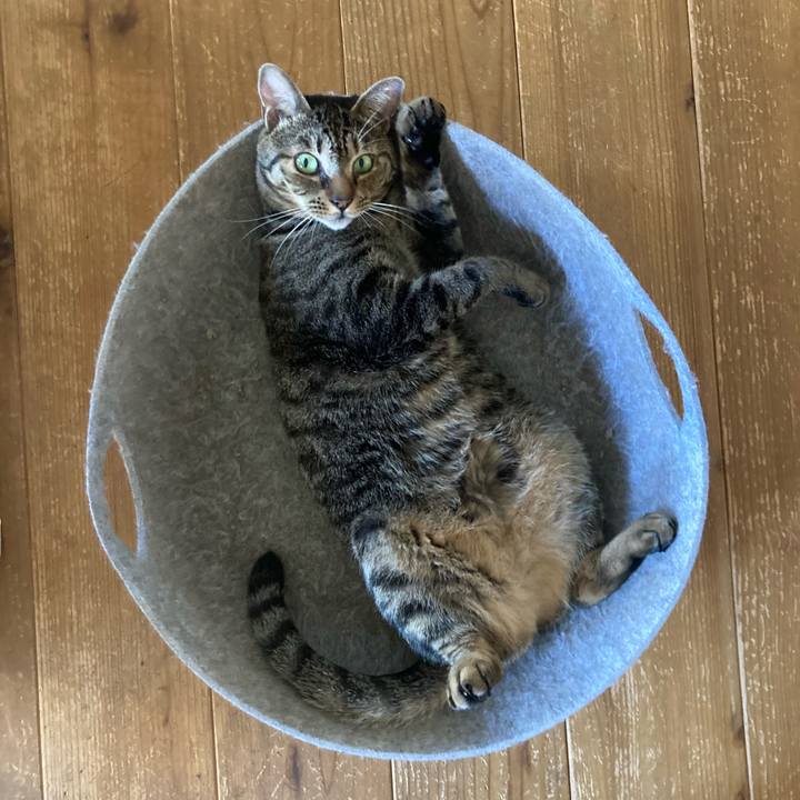 1ef51876 3300 4b9a 9460 924273ab4c62 1726276058928