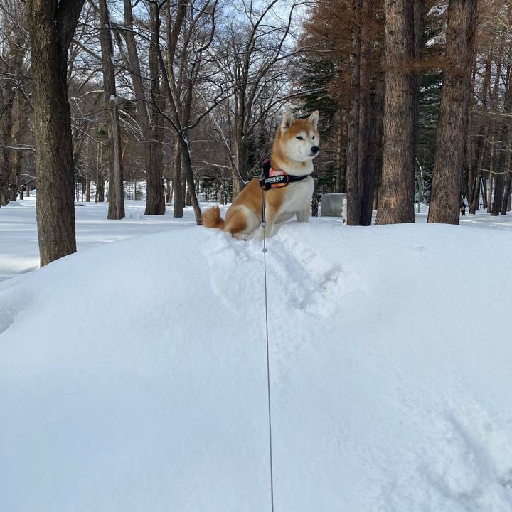 1ef5686c 931d 4717 894b f22c83b1d677 1614128763231