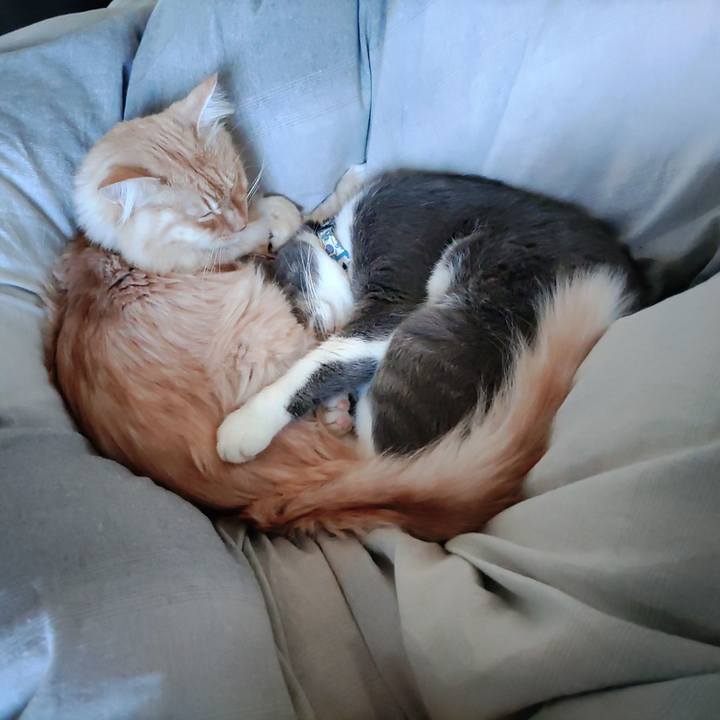 1ef58eb8 5441 4891 af4b 0aaa321a1fbd 1668735486010