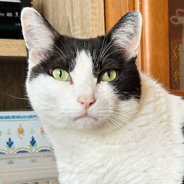 1ef5a29c c395 4b11 90de e6420dd29f5e 1716858118886