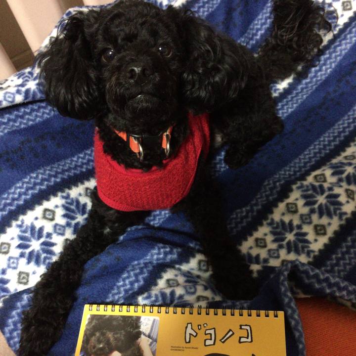 1ef5c430 910a 4591 baff ecc06a3fa0e3 1514099152721