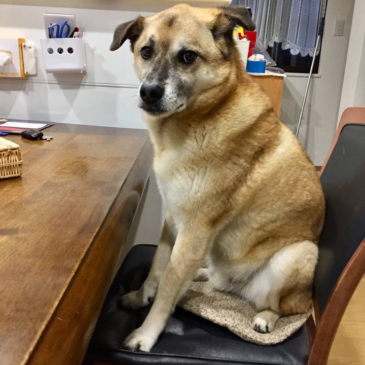 1ef5c6a3 bf60 4178 934f 150455b1edec 1524046572024