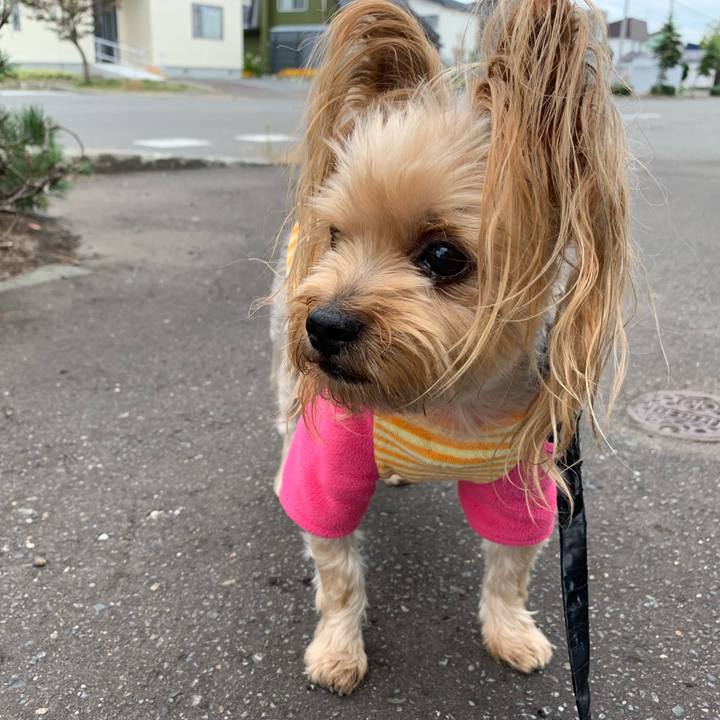 1ef5d785 c1ac 4fbb b318 10090a4d6f78 1537768850145