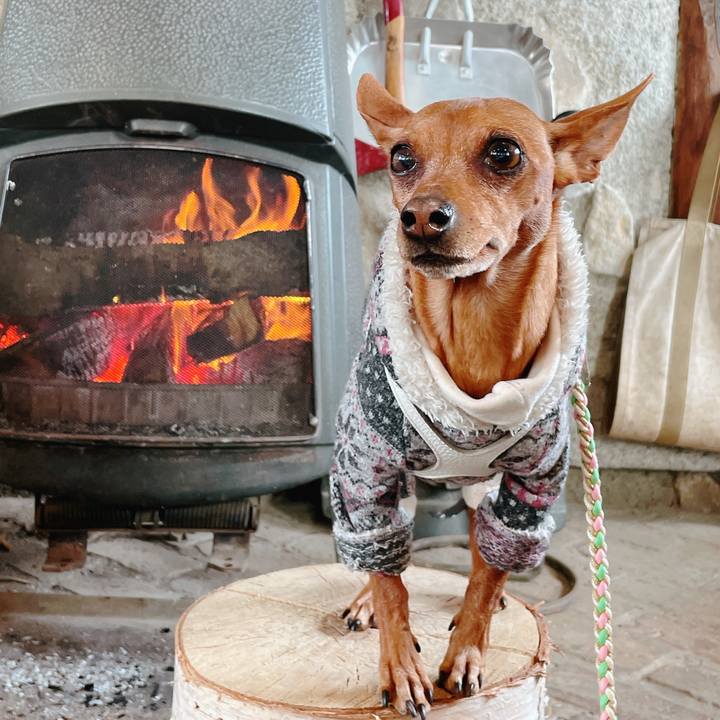 1ef6012b 2e32 4040 8a8f e6c695c3a835 1675584273384